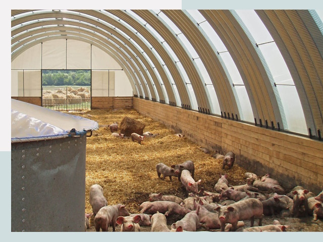 Строительство свинарников в Челябинске