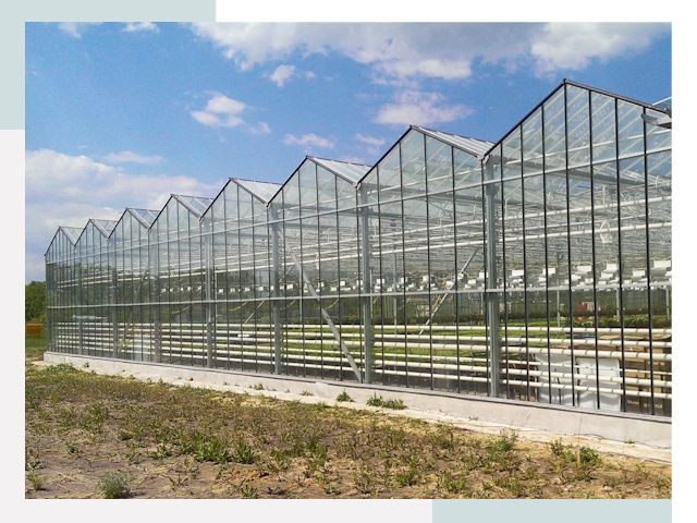 Строительство теплиц в Челябинск от 619 руб. за м²